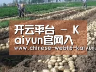 种植基地七(图1)