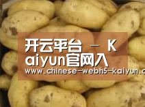 产品展示标题6