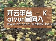 种植基地七