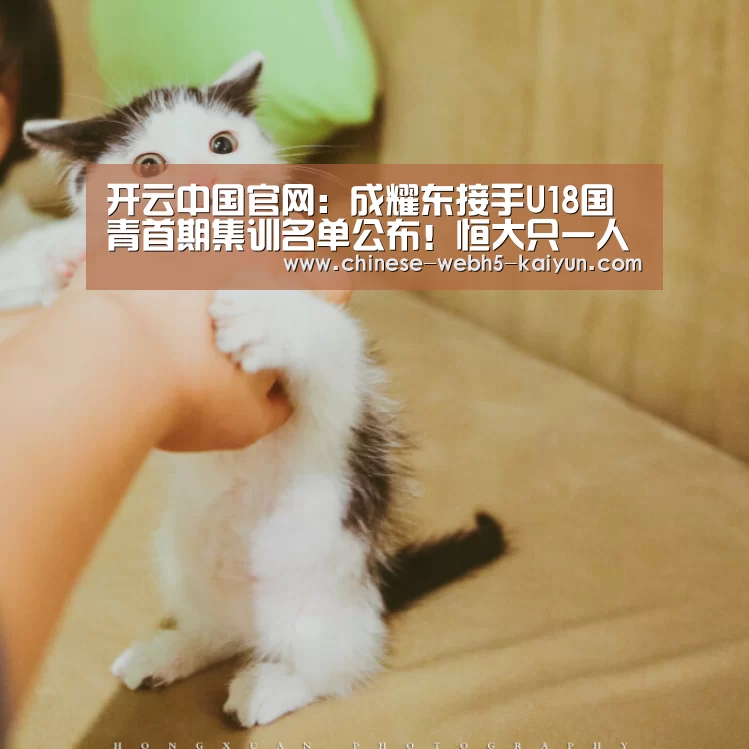 开云官方平台