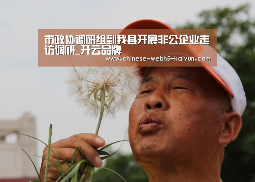 市政协调研组到我县开展非公企业走访调研_开云品牌(图4) 开云综合服务