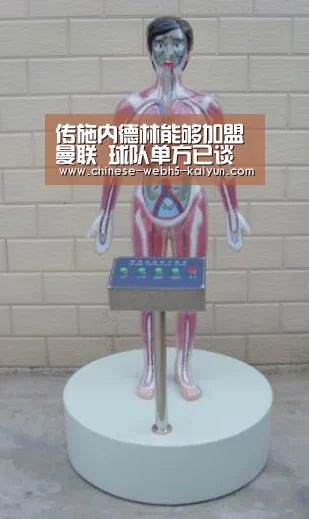 开云综合服务
